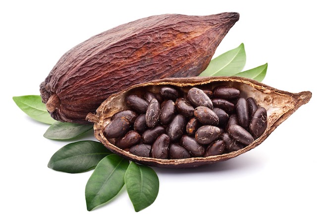 Trade in Cocoa